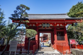 Senso-ji Nitemmon red entrance gate, Buddhist temple complex, Japanese cherry blossom, Asakusa