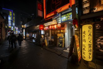 Pedestrians, alley with neon signs, paper lanterns and advertising signs at night, Udagawacho,