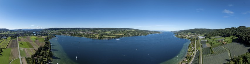Untersee between Mammern and Eschenz, drone shot, Thurgau, Switzerland
