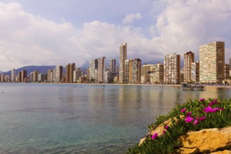 View of high-rise skyline, Little Manhattan, skyscrapers, Benidorm, Valencia (region), Costa