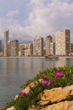 View of high-rise skyline, Little Manhattan, skyscrapers, Benidorm, Valencia region), Costa Blanca,