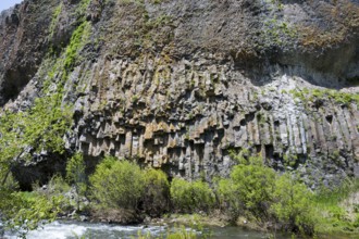 An impressive formation of basalt columns rises above a river surrounded by vegetation, basalt on