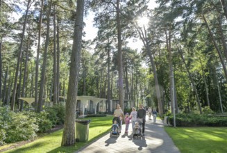 Dzintaru Forest Park, Jurmala, Latvia