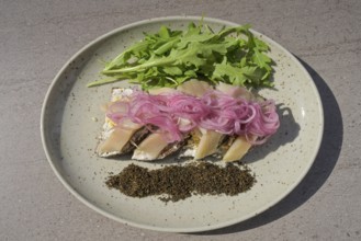 Herring, onions, Latvian rye bread Rupjmaize, Latvia