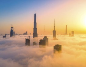 City scape emerging from a dense enveloping fog in sunrise and skyscrapers piercing the haze, big