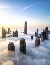 City scape emerging from a dense enveloping fog in sunrise and skyscrapers piercing the haze, big