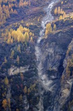 Yellow trees shine in autumn colours above an abysm. Steep slope is a large rock formation. Rhone