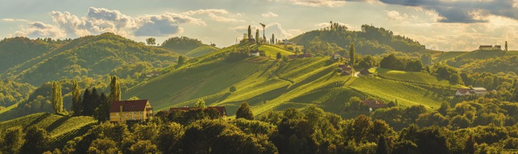 Expansive vineyards sprawled over hilly terrain under a setting sun, Gamlitz, Austria