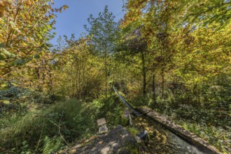 The artificial water channel that used to power the historic oil mill and sawmill in Böttstein.