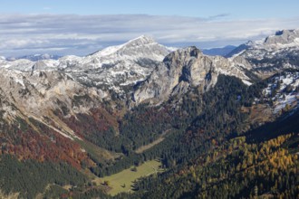 Autumn atmosphere, forest with leaves, snow in the background on the Brandstein summit,