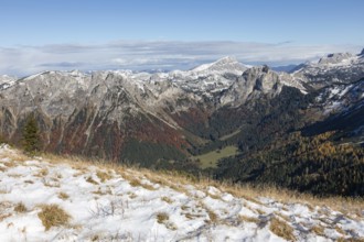 Autumn atmosphere, forest with leaves, snow in the background on the Brandstein summit,