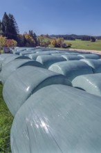 Blue sky, silage bales near Kempten, Swabia, Bavaria, Germany