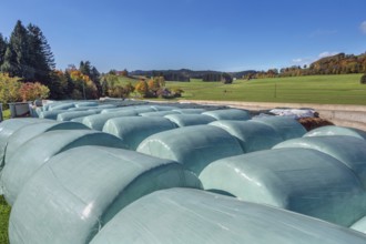 Blue sky, silage bales near the village of Masers near Kempten, Swabia, Bavaria, Germany