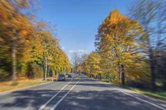 Zoom effect, country road and autumn-colored deciduous trees, Kempten, Swabia, Bavaria, Germany