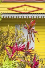 Typical Creole architecture of a house with a yellow wooden façade, white lambrequin over a window