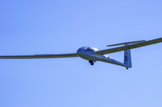 A Schempp-Hirth Nimbus 3MR motor glider, registration D-KERF, during a screening as part of an air