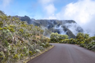 The curvy Route du Volcan snakes downhill through the contrasting landscape, with silvery-green and
