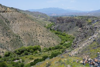 Landscape of hills and green trees with a rocky gorge, Arpa River valley near Vayk, Vayots Dzor