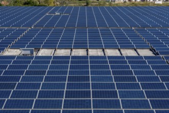 Extensive array of blue solar panels covering a rooftop, capturing sunlight and converting it into