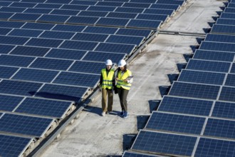 Two engineers, a man and a woman, are working outdoors, reviewing plans and inspecting rows of