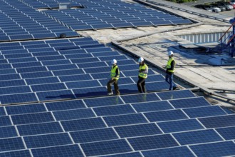 Engineers and maintenance workers are walking across an expansive array of solar panels installed