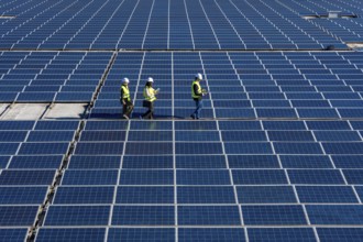 Team of diverse engineers walking across a large solar farm, checking photovoltaic panels and
