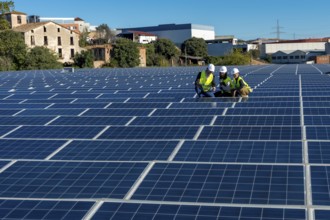 Engineers in hard hats and vests working on a vast solar panel field, reviewing data on a tablet,