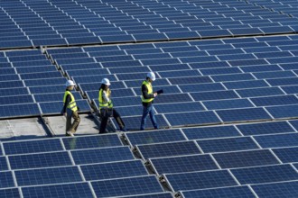 Engineers wearing safety helmets and vests are walking across a vast field of photovoltaic solar