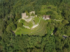Schauenburg Castle, Oberkirch, Black Forest, Baden-Württemberg, Germany, Bühl, Baden-Württemberg,