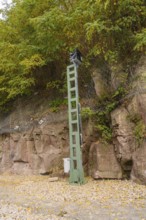 Green signal tower in front of rocky embankment with trees and safety net, Signalbau an der Hermann