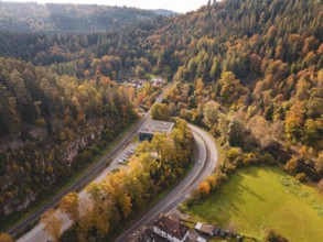 Winding country road through wooded autumn landscape, surrounded by trees, Calw, Black Forest,