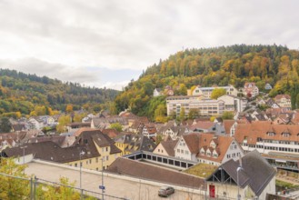 Historic town with half-timbered houses and autumn trees under cloudy sky, Calw, Black Forest,