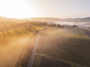 Extensive landscape with fields and a village in morning fog and sunrise light, Calw Stammheim,