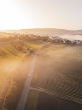 Fields and a village with a tower, wrapped in fog and illuminated by soft morning light, Calw