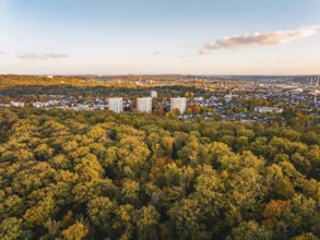 Large forest with skyscrapers in the background at setting sun, Sindelfingen, Böblingen district,