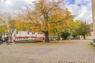 Spacious square with a large tree in autumn colors surrounded by buildings, Sindelfingen, Böblingen
