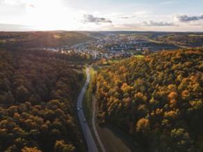Autumn forest landscape with a road leading to a small settlement, Aidlingen, Böblingen district,