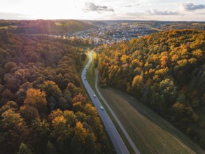 Forest landscape in autumn, crossed by a winding country road, Aidlingen, Böblingen district,