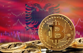 Investors in cryptocurrency and Blockchain Technology in Albania, Concept. Bitcoin with Albania