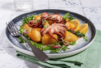 Warm grilled octopus salad with potatoes and fresh herbs, on a stylish plate, homemade