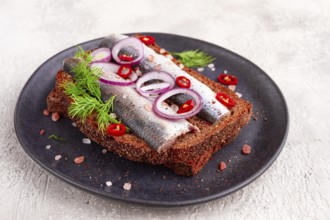Sandwiches, herring fish, on dark rye bread, sprinkled with onion, chili pepper and herbs, on a
