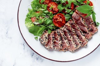 Fried tuna in sesame seeds, sliced on a plate, with fresh salad, on a white plate, homemade
