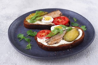 Sandwiches on rye bread with sprats, quail eggs, fresh tomatoes and pickled cucumber, on a dark