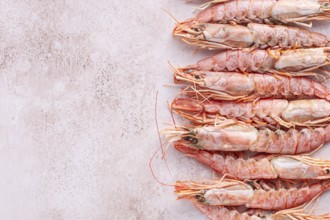 Freshly frozen shrimps, Argentine shrimps, langoustines, neatly laid out on the surface, top view