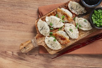 Gyoza Japanese dumplings, fried, with sauce, with green onion and sesame seeds, no people,