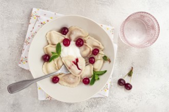 Traditional dumplings with cherries and yogurt, in a bowl, light background, close-up, no people
