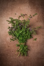 Bouquet of herb ombalo, marsh mint, bunch of mint, top view, on a brown background, spice, Georgian