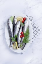 Fresh Herring fish, ready to cook, with herbs and spices, on a white platter, in the kitchen