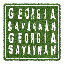 Georgia Savannah Sustainable Tourism Concept