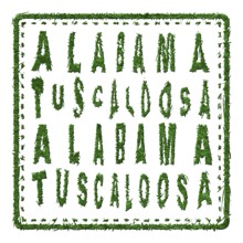 Alabama Tuscaloosa Sustainable Tourism Concept